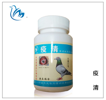 疫清